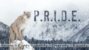 Pride header.jpg